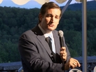 Has Ted Cruz helped elevate the Tea Party to the national level?