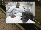 Dog saves blind owner after fall onto subway tracks