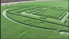 Locals wonder who -- or what -- created California farm crop circles