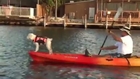 Raw: Doggies Paddling for a Good Cause