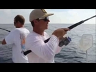Catching Blackfin Tuna | Islamorada & Florida Keys Fishing Trips & Charters